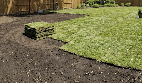 Sod & Grass
