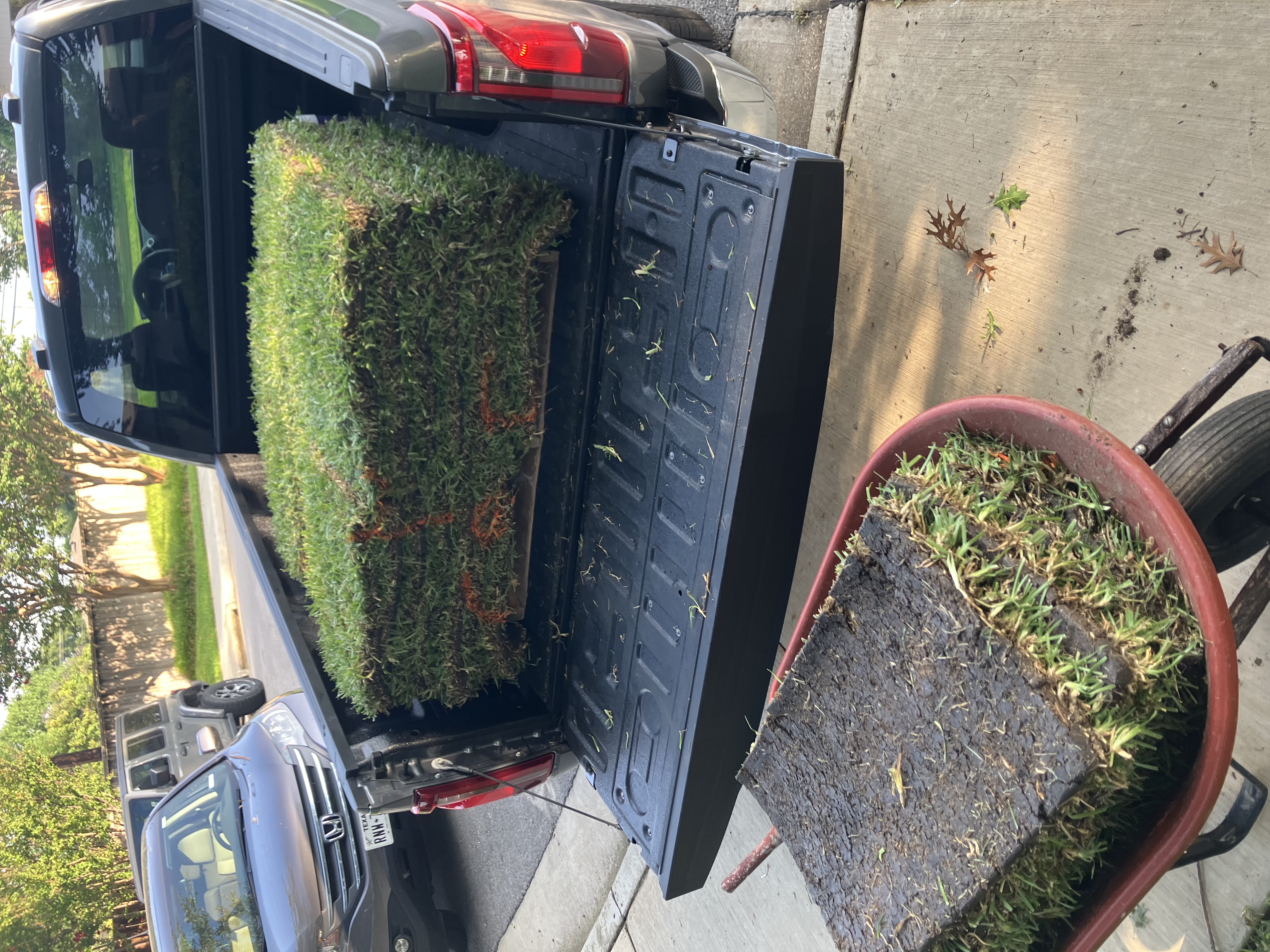 Sod installation project